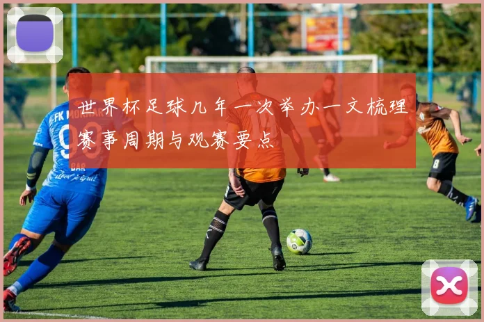 世界杯足球几年一次举办一文梳理赛事周期与观赛要点