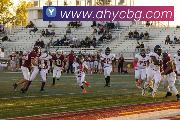 多媒体互动体验